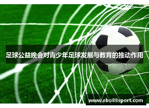 足球公益晚会对青少年足球发展与教育的推动作用